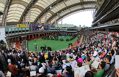 合田直弘今年の香港競馬を振り返る