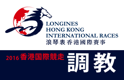 香港国際競走調教