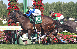【中古】 全重賞穴馬攻略ファイル Ｇ１・Ｇ２・Ｇ３、重賞レースの穴馬券が遂に判明/ぱる出版/田中栄一 8/3（日）中央競馬（札幌・新潟・中京）全レース「穴馬券の刺客