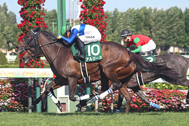 日本中央競馬会  レーシングプログラム JRA日本中央競馬会